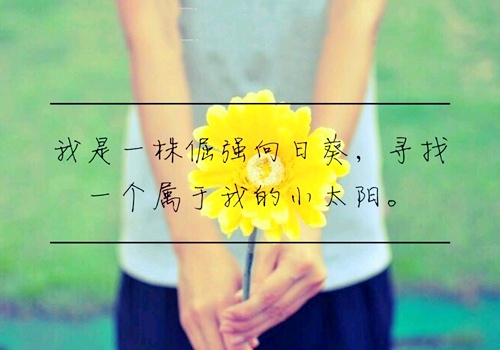 2020拼搏努力正能量的句子,励志背景图片