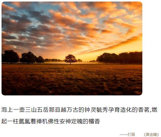 泡上一壶三山五岳那亘越万古的钟灵毓秀孕育造化的香茗图片