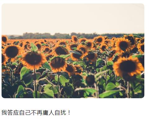 我答应自己不再庸人自扰图片