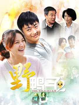 野鸭子2演员表和剧情介绍图片