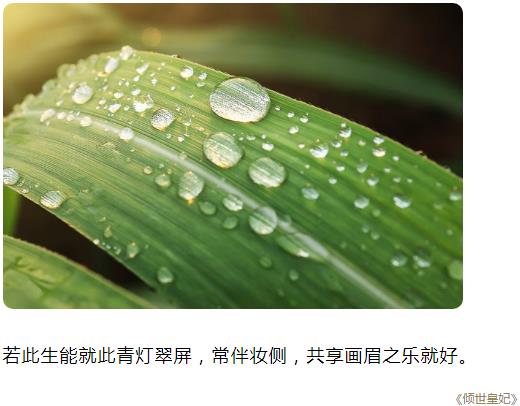若此生能就此青灯翠屏，常伴妆侧，共享画眉之乐就好图片