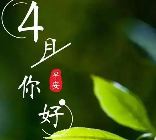四月你好朋友圈说说句子