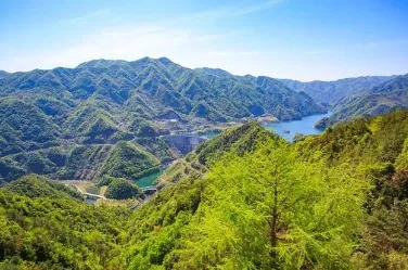 表达爱情的唯美句子：心若在，爱就在图片