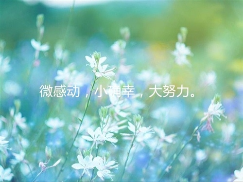 含有小确幸的唯美句子 一句关于小确幸的话图片