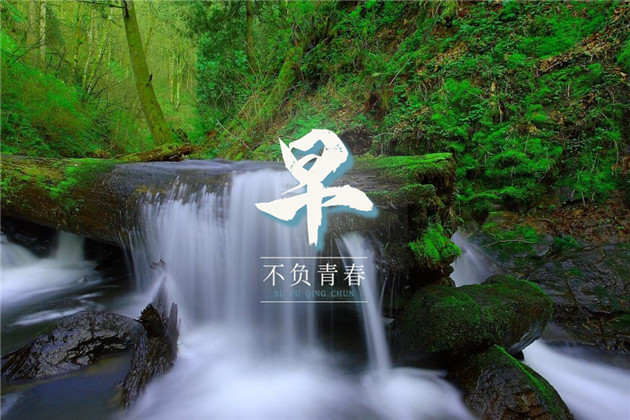向日葵早安心语正能量图片 不要去等待完美的时刻，把握好现在，让此刻变完美