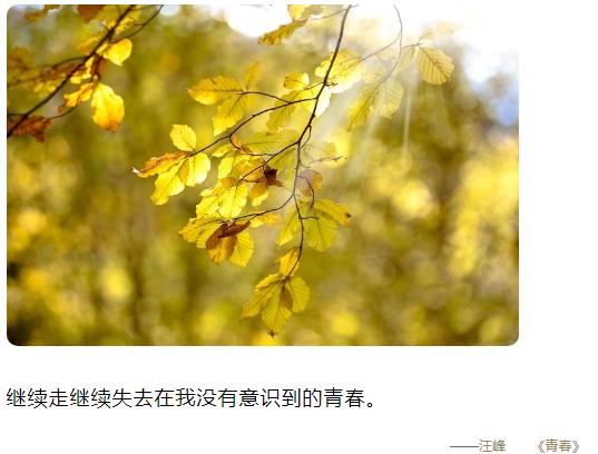 继续走继续失去,在我没有意识到的青春图片