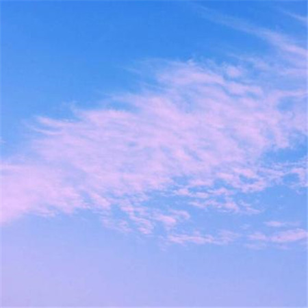 微信头像简约小清新干净图片
