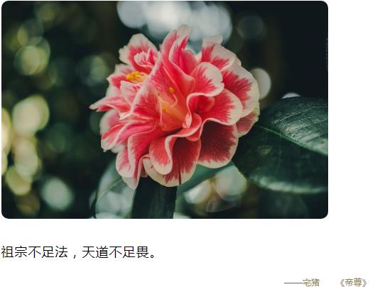 祖宗不足法，天道不足畏图片