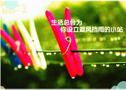 努力变优秀的简短句子致自己  靠自己努力争取的句子图片