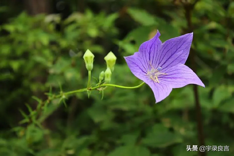 且行且珍惜的经典句子 感慨人生不易的句子图片