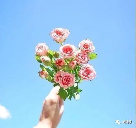 保持乐观心态的正能量唯美句子