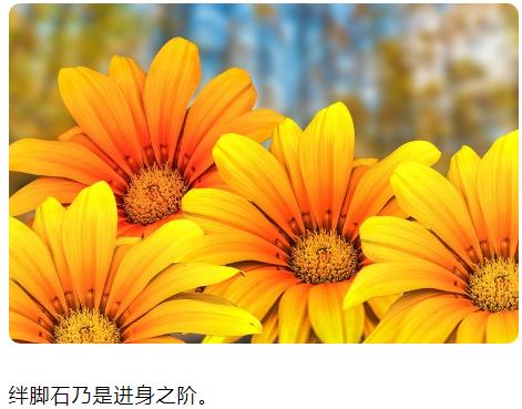 绊脚石乃是进身之阶图片