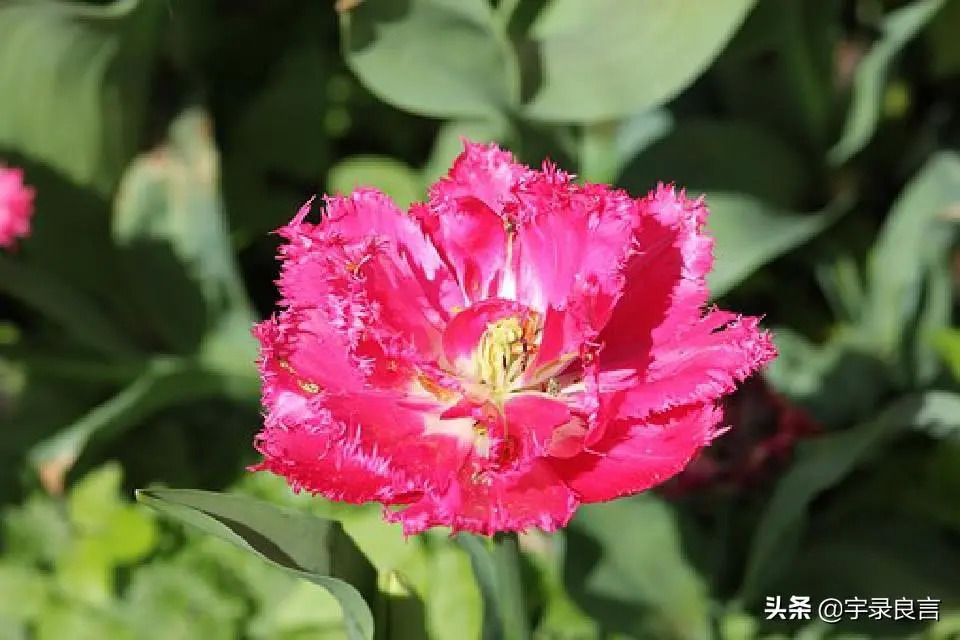 且行且珍惜的经典句子 感慨人生不易的句子图片