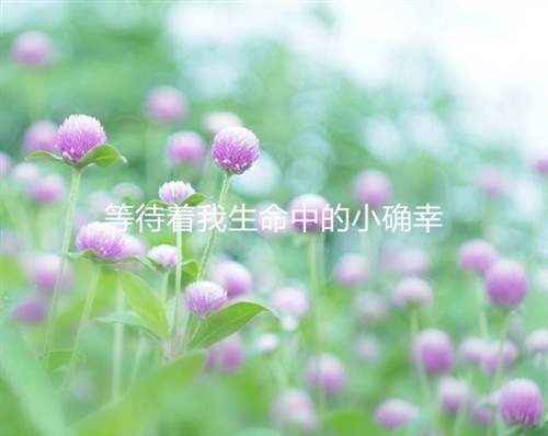 含有小确幸的唯美句子 一句关于小确幸的话图片
