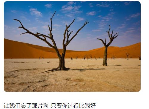 让我们忘了那片海只要你过得比我好图片