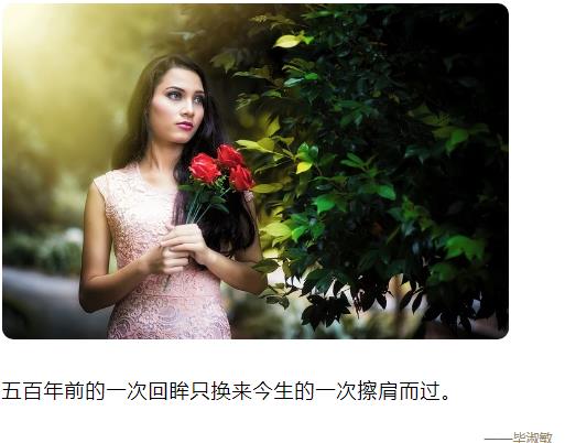 五百年前的一次回眸只换来今生的一次擦肩而过图片