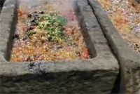 神回复：我坐前头给老公挡风图片