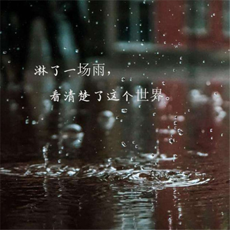 对某人失望心寒的图片（精选20张）图片