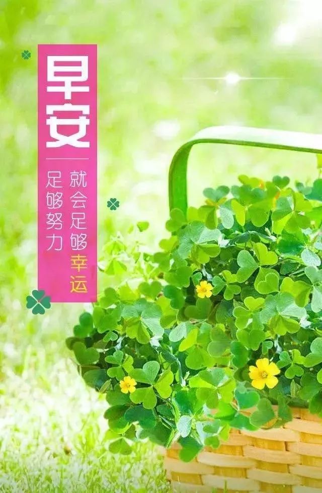 有正能量图片带字抖音短句