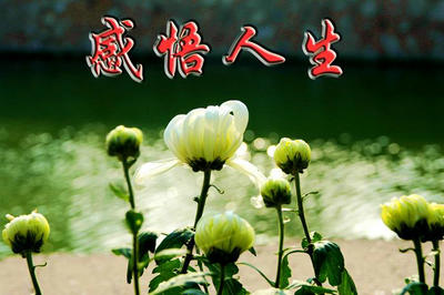 
4、要成就大事业就要趁青年时代