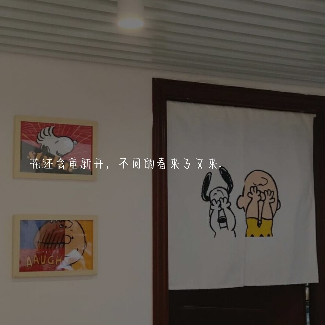 花还会重新开，不同的春天来了又来