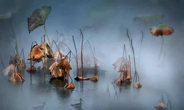 情话最暖心短句 你是我纸短情长的雨季，也是我往后余生的晴空万里