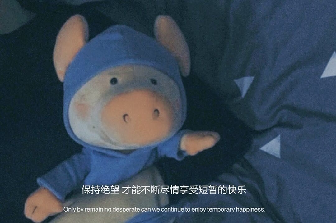 爱是两人一张棉被 也是一人一杯清水图片