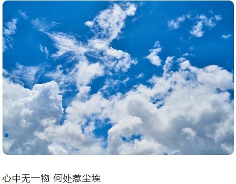 心中无一物何处惹尘埃