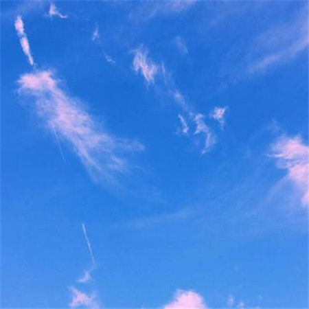 微信头像简约小清新干净图片