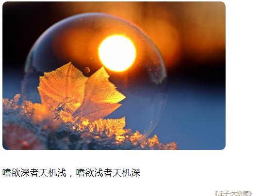 嗜欲深者天机浅,嗜欲浅者天机深
