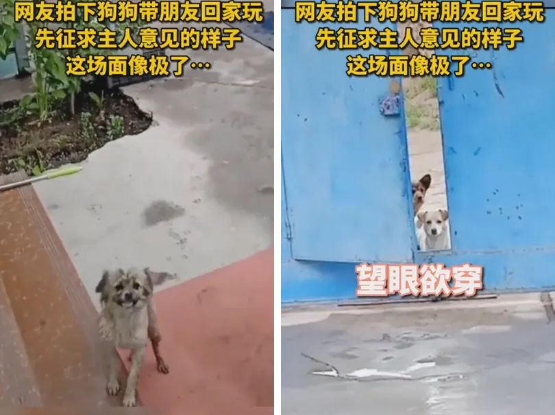神回复：我坐前头给老公挡风图片