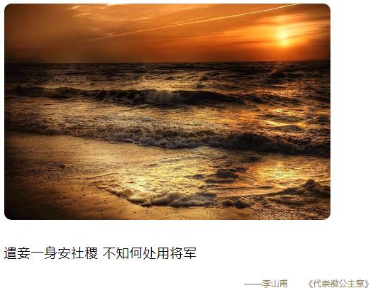 遣妾一身安社稷 不知何处用将军图片