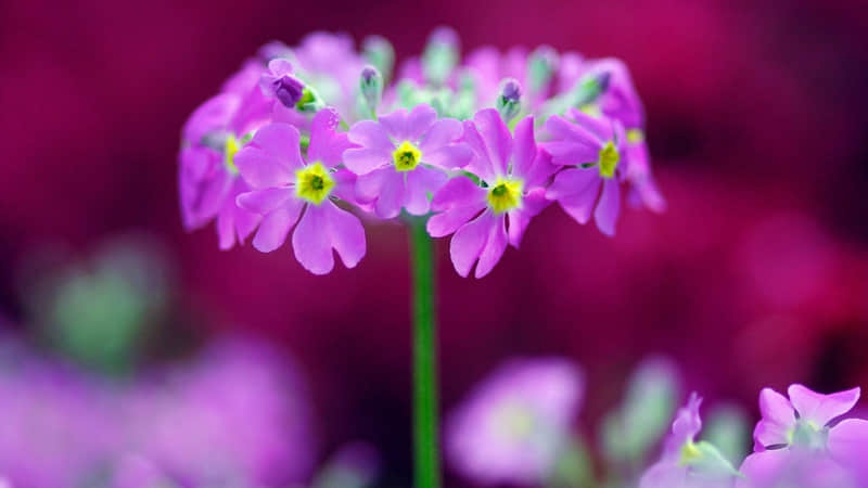 教师节英语祝福语大全