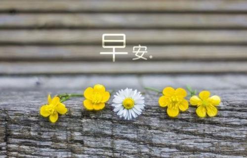 2020励志早安心语正能量，奋斗激发人心励志早安正能量
