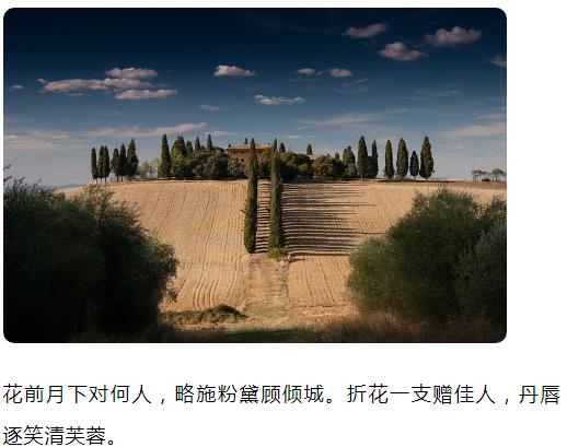花前月下对何人 略施粉黛顾倾城 折花一支赠佳人 丹唇逐笑清芙蓉 图片