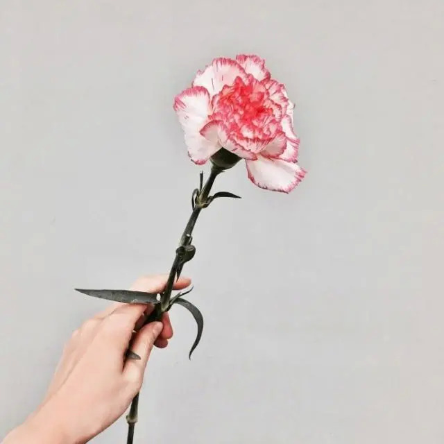 干净唯美的句子打动人心 	朋友圈简单干净的句子图片