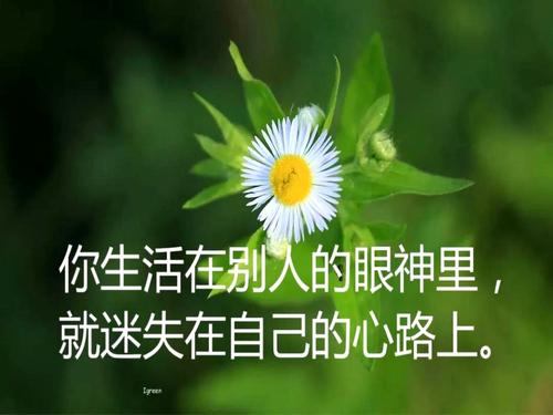快乐是我的能量 点亮自己的光芒