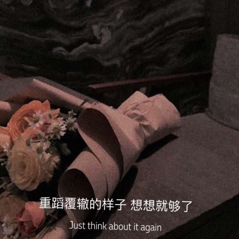 重蹈覆辙的样子想想就够了