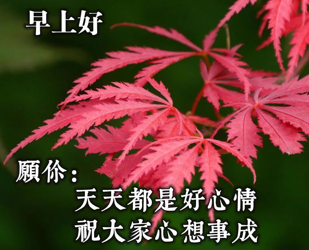 2020早安最火图片，早上好 简短图片