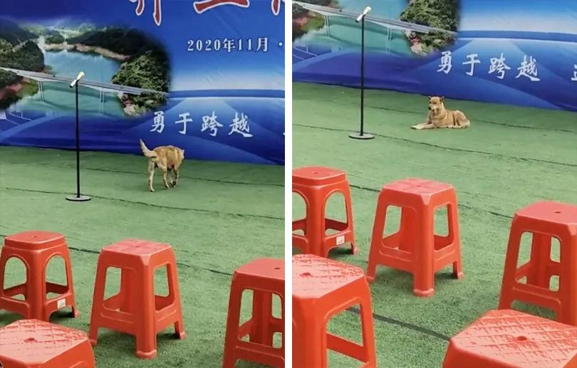 神回复：我坐前头给老公挡风图片