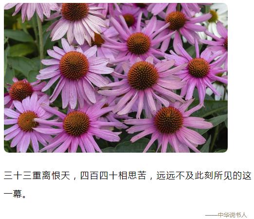 三十三重离恨天，四百四十相思苦，远远不及此刻所见的这一幕。图片