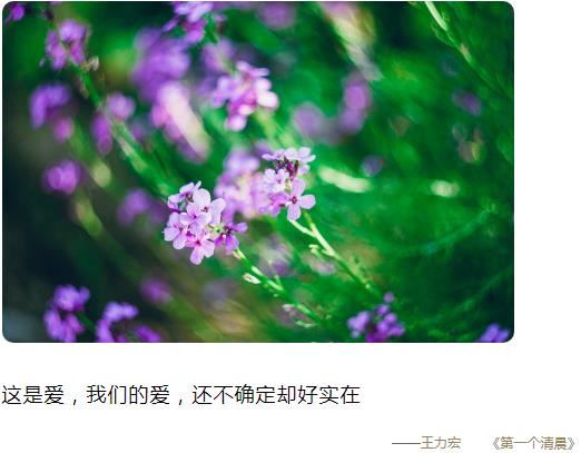 这是爱我们的爱还不确定却好实在图片