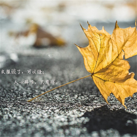 对某人失望心寒的图片（精选20张）图片