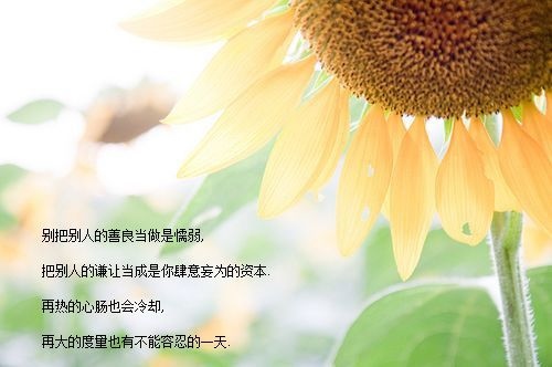 女人选错了男人的句子