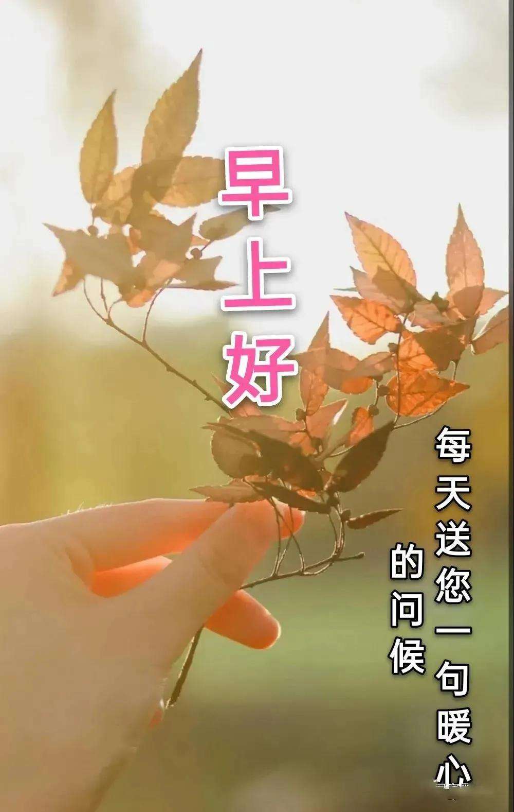 早上好图片 最新图片2022风景图片