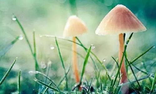 积极乐观的生活短句 简短端正生活态度的句子图片