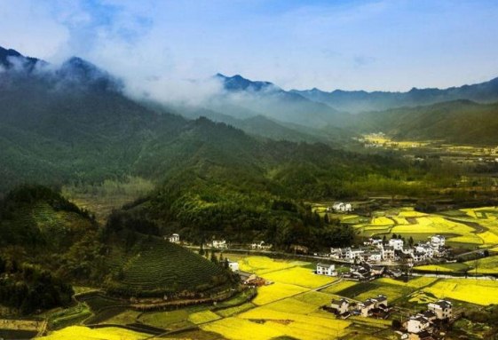 经典上万人赞说说带图片