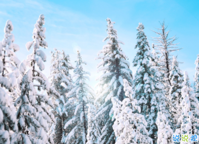 适合下雪发朋友圈的文案 下雪天一句话抖音短句大全