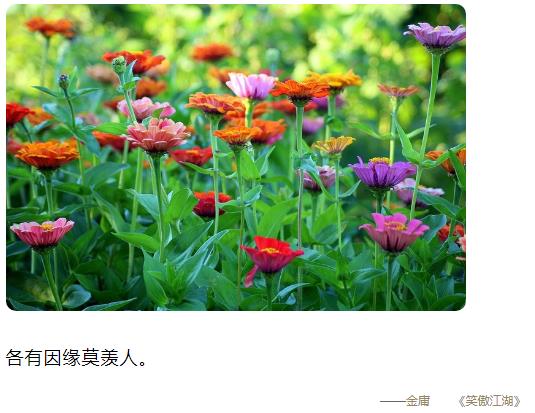 各有因缘莫羡人图片