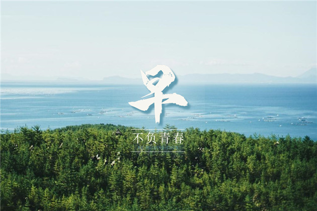向日葵早安心语正能量图片 不要去等待完美的时刻，把握好现在，让此刻变完美